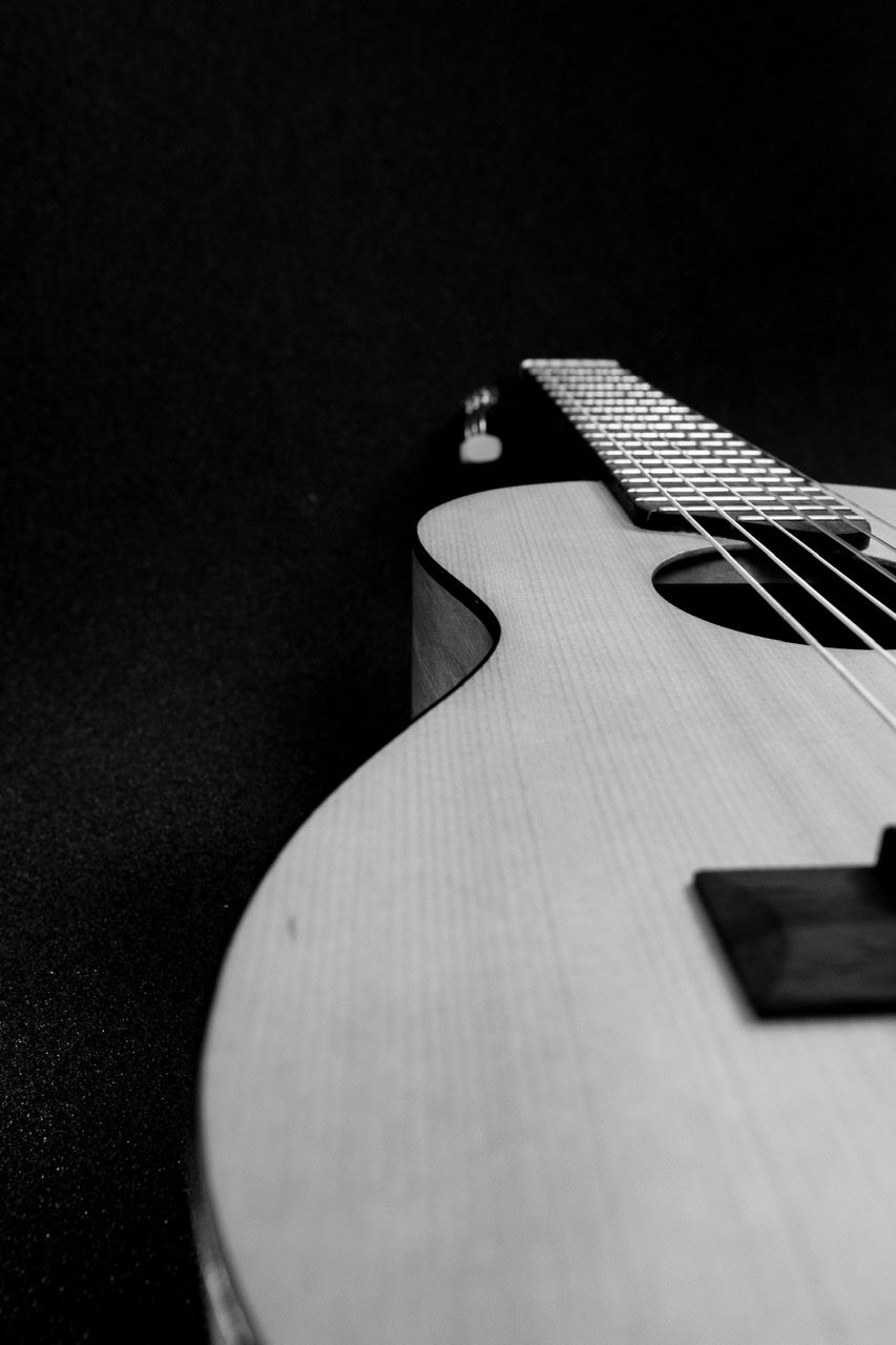 Fine Art Photography B&W Guitar