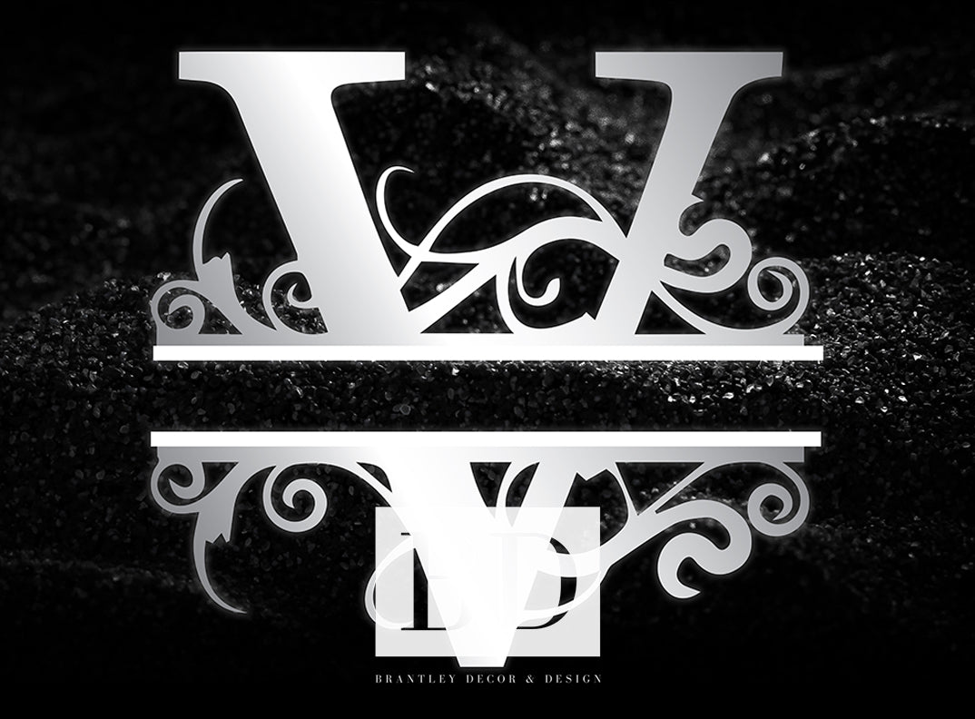 “V” Initial for Black and Chrome  -Horizontal Framed Portrait-